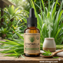 Citronella Oil - Citragro Indonesia