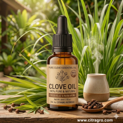 Clove Oil - Citragro Indonesia