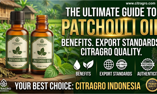 The Ultimate Guide to Patchouli Oil - Benefits, Export Standards, and Why Citragro Indonesia Authentic Patchouli Oil Is Your Best Choice