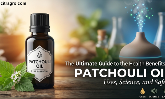 The Ultimate Guide to the Health Benefits of Patchouli Oil - Uses, Science, and Safety - Citragro Indonesia