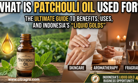 What Is Patchouli Oil Used For - The Ultimate Guide to Benefits, Uses, and Indonesia’s Liquid Gold Business Opportunity - Citragro Indonesia