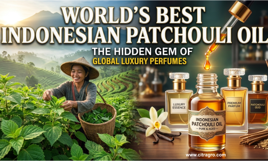 World’s Best Indonesian Patchouli Oil - The Hidden Gem of Global Luxury Perfumes - Citragro Indonesia